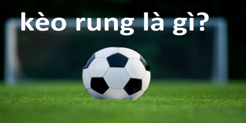 Hướng dẫn bắt kèo cược rung chi tiết nhất